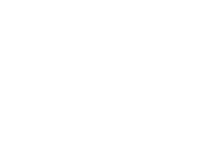 Anamata